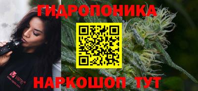 стаф Краснознаменск