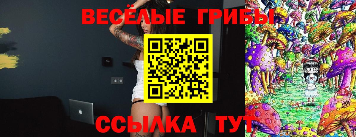 Псилоцибиновые грибы MAGIC MUSHROOMS Избербаш