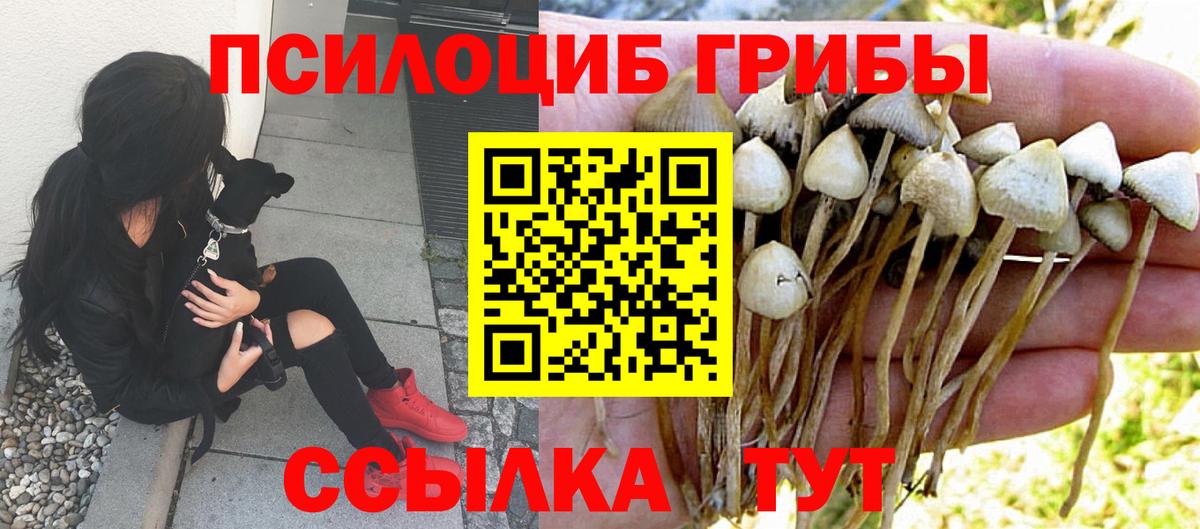 Галлюциногенные грибы GOLDEN TEACHER  Вход с VPN  Избербаш  Галлюциногенные грибы Cubensis 